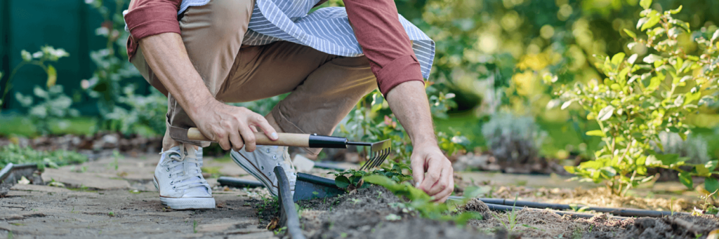 Entretenir votre jardin au printemps grâce aux conseils vivaservices