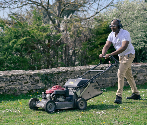 Entretien du jardin avec un intervenant VIVASERVICES