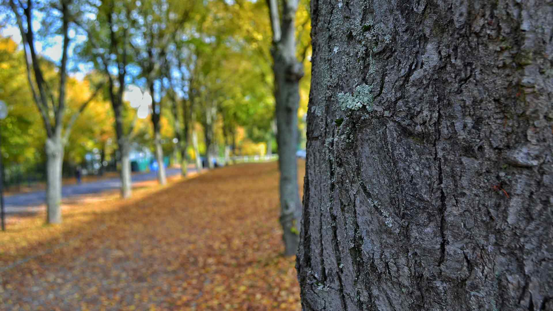 Ouvrir une franchise Vivaservices à Massy